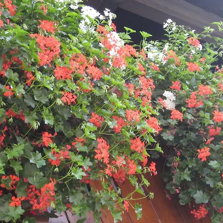 Гостевой дом Gaestehaus Rappenkopf Оберстдорф